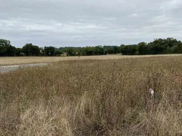 Terrain de 1162 m² à VALLANS