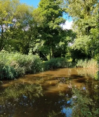 Terrain a vendre
