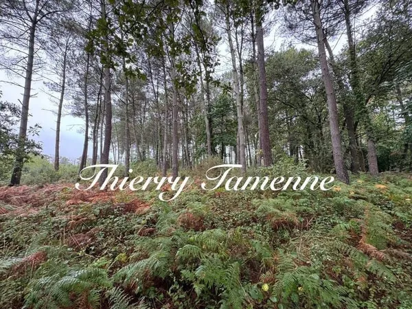 Terrain 51575 m²