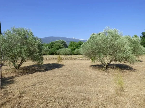 Terrain à bâtir 1800 m²