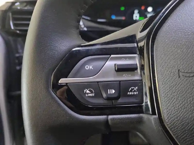 Peugeot 308 phev 180 e-eat8 — photo 26