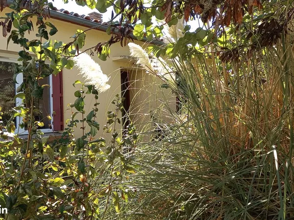 Maison non mitoyenne avec grand jardin