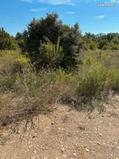 Location terrain agricole