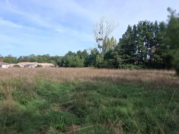 Terrain 2000 m²