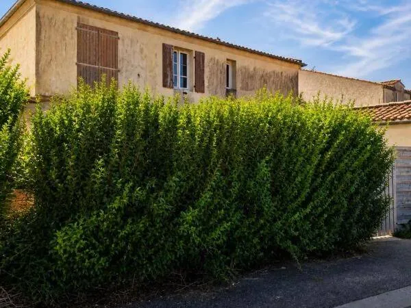 Maison 2 pièces 60 m²