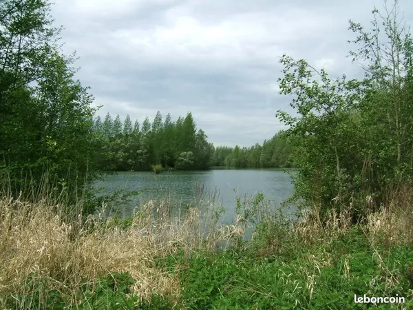 A vendre étang de pêche et de chasse