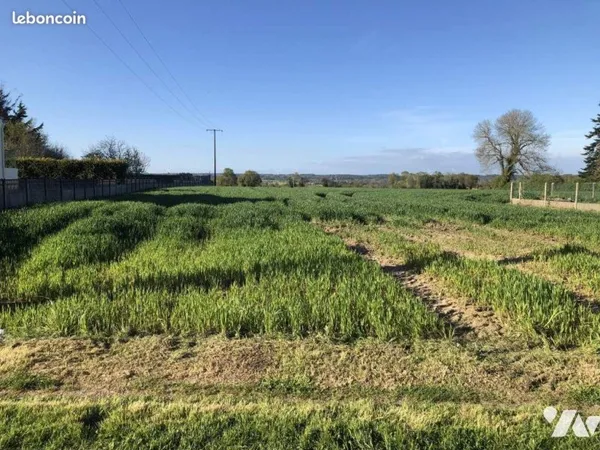 Terrain 1000 m² PEILLAC