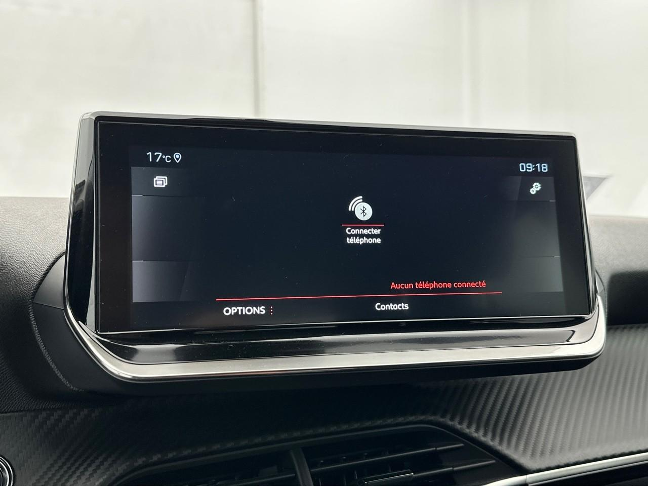Peugeot 2008 puretech 130 s&s eat8 roadtrip — photo 24