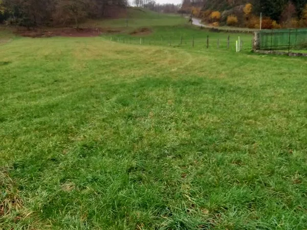 Terrain à bâtir