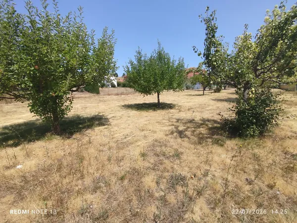 Terrain 856 m²