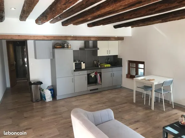 Appartement meublé en rez-de-chaussée T2 41 m2 au centre ville de Rouffach