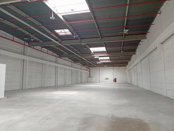 Entrepôt 1591 m²