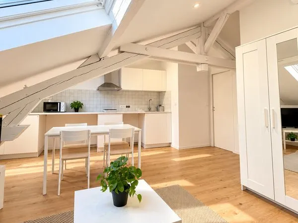 Location grand studio meublé de 30 m² entièrement neuf et climatisé