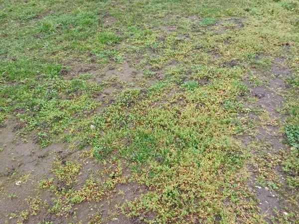 Terrains à bâtir Auxonne 21
