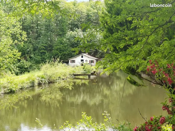 Propriété 12 pièces 42 m²