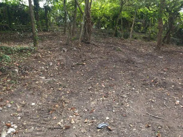Terrain à bâtir