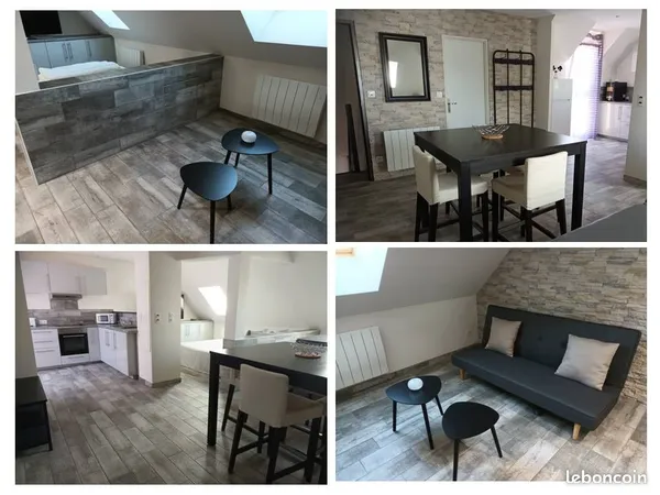 Tres joli loft entierement meuble