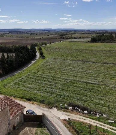 Propriété viticole 8 pièces 340 m²