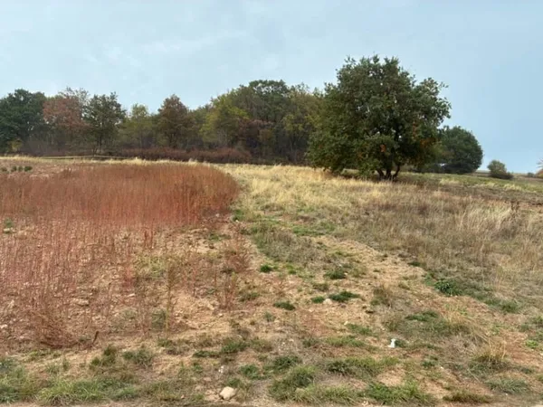 Terrain 746 m²