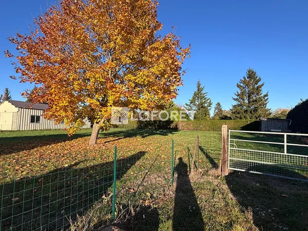 Terrain 1004 m²