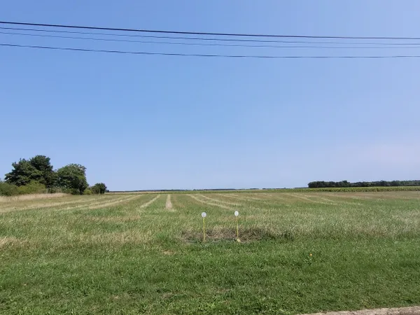 Terrain 2000 m²