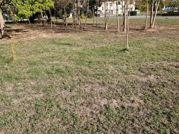 Terrain viabilisé