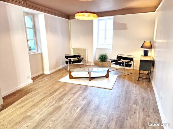 Appartement 100M2 à louer Le Puy-En-Velay 43000
