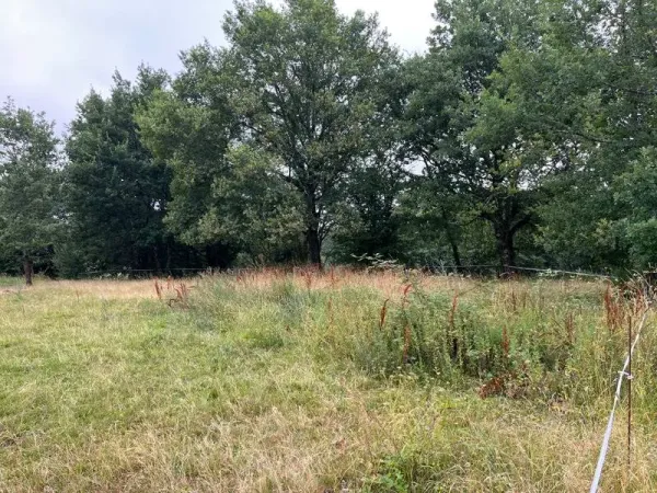 Terrain 1331 m²