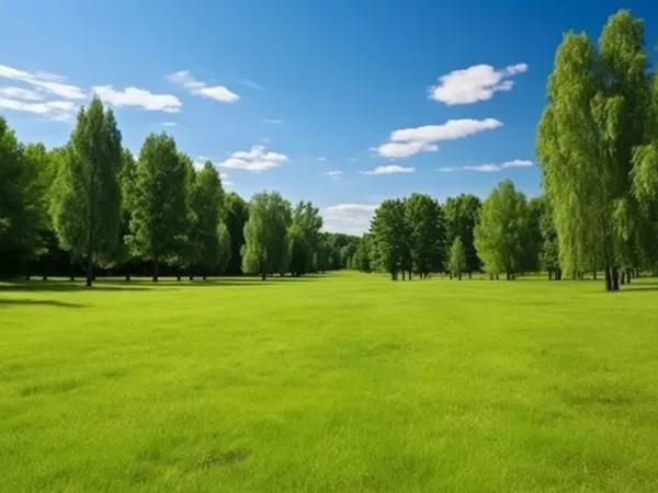 Terrain 1150 m²
