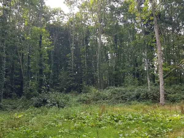 Terrain 45700 m²