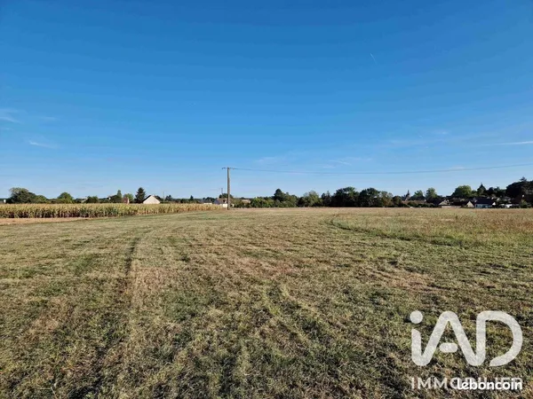 Terrain 21231 m² Cloyes-les-Trois-Rivières