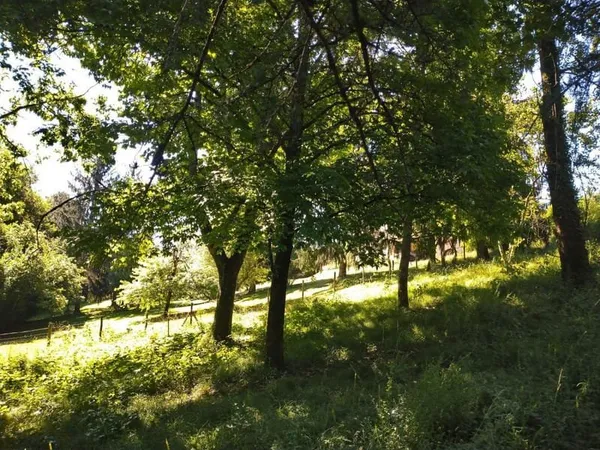 Terrain constructible à Créon