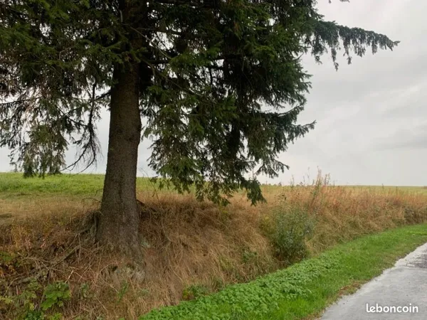 Terrain dans zone artisanale