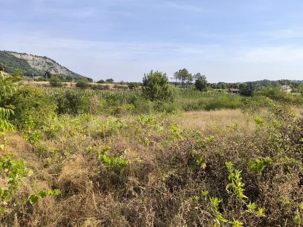 CORNAS (07130) : nouveau terrain à bâtir de 450 m²!