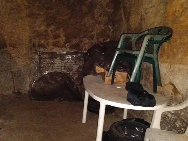 Cave troglodyte