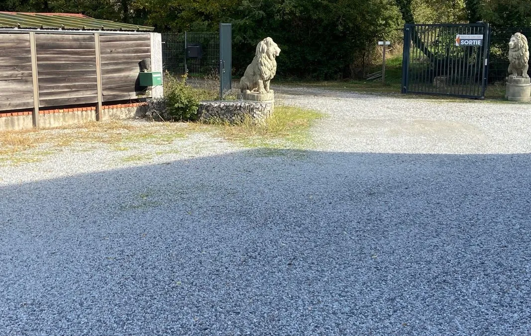 Photo 3