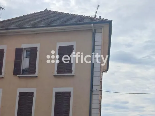Bien immobilier de rendement Vente Voiron 232m² 429000€