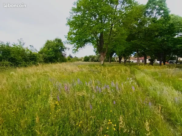 Terrain à bâtir viabilisé 500 à 661 m² - dès 124 000 - Chonas-l'Amballan