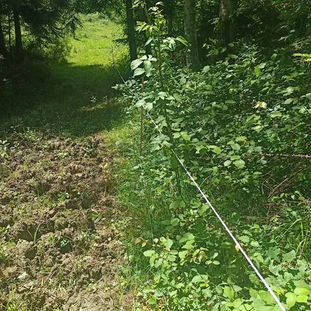 Terrain 28000m2