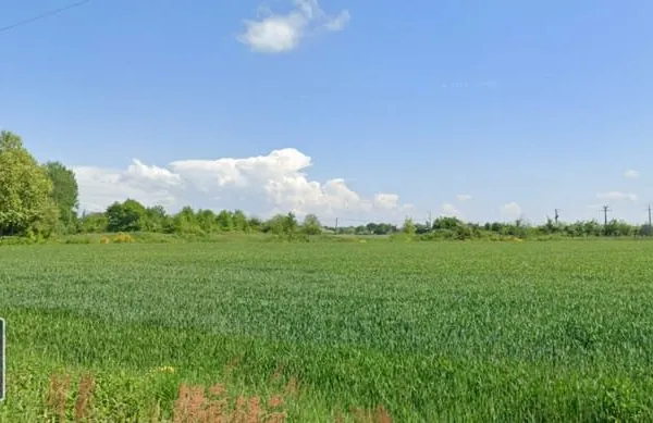 Terrain à bâtir Vente Montech  5008m² 30000€
