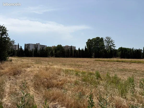Terrain agricole 2,13 ha - Perpignan Jardins Saint-Jacques - forage et électricité