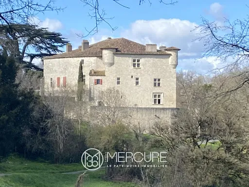 Château 15 pièces 600 m²