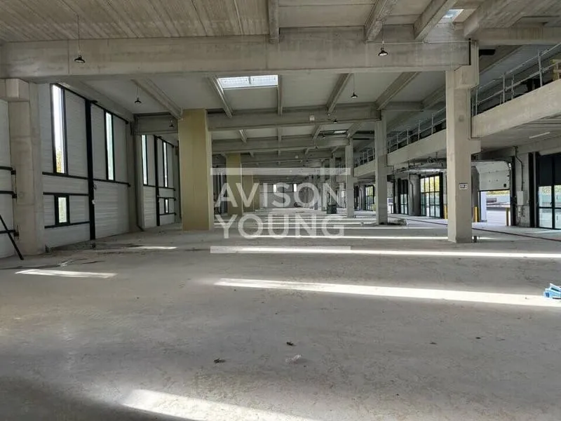 Photo 5