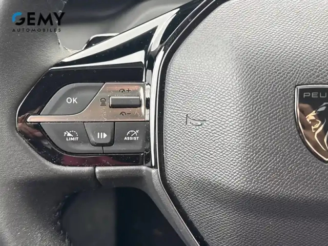 Peugeot 308 phev 180 e-eat8 — photo 18