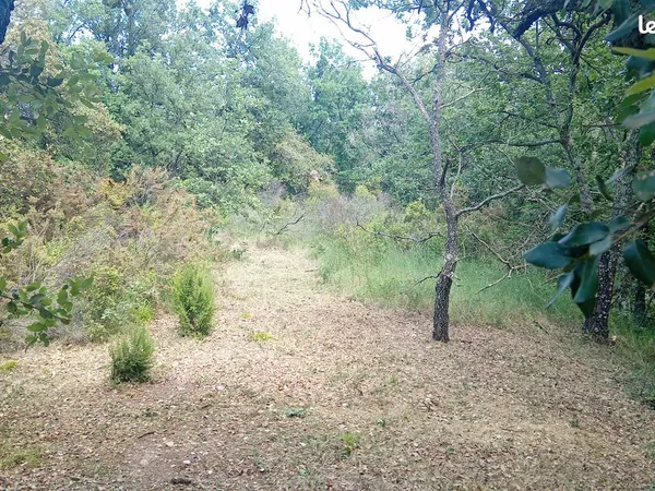 Terrain 5060m2