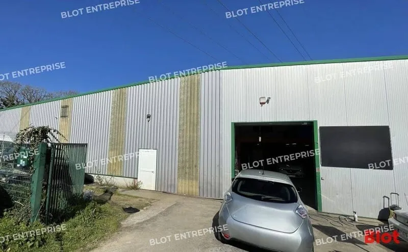 Photo 3