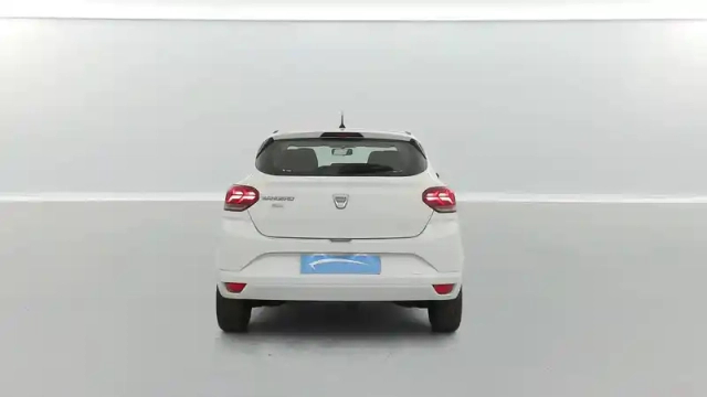 Dacia Sandero eco-g 100 - 22 — photo 13