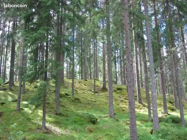 Terrain sainte croix