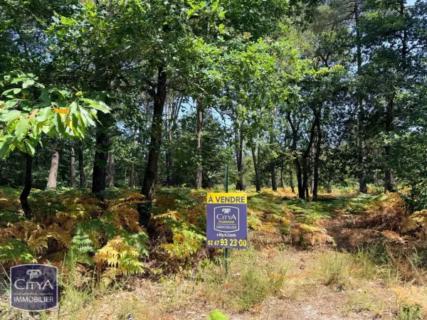 Terrain à bâtir Vente Saint-Benoît-la-Forêt 39500€