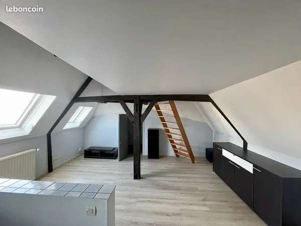 Duplex 1 pièce 18 m²